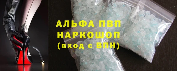 СК Алексин