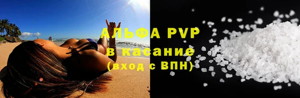 СК Алексин
