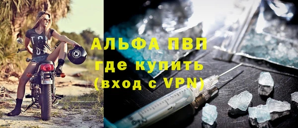 СК Алексин