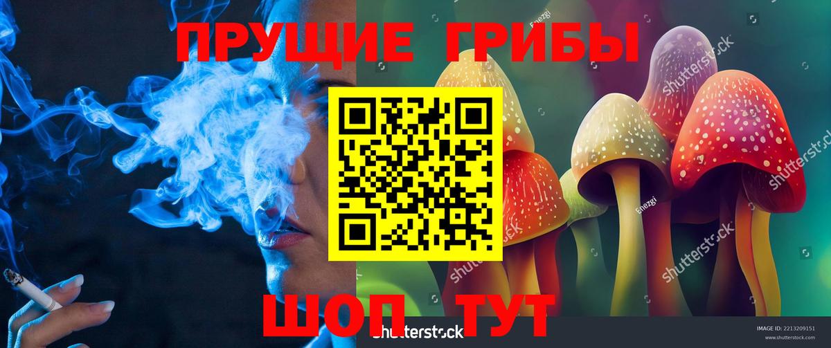 Галлюциногенные грибы прущие грибы  Вход с VPN  Киров 